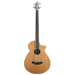 Bassi Acustici e Semi-Acustici Fretless