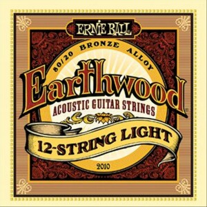 Ernie Ball 2010 Earthwood 12 Corde Light 9-46 Bronze
