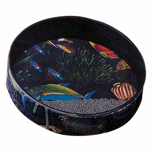 Remo ET0216-10 OCEAN DRUM cm.30 Fish Graphic
