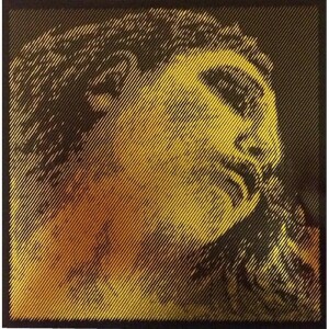 Pirastro Evah Gold  Violino Set con Sol Argento Mi Asola