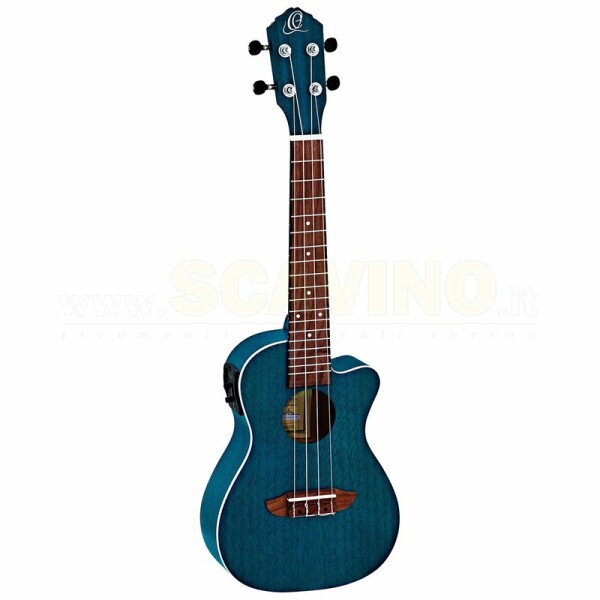 ORTEGA RUOCEAN-CE