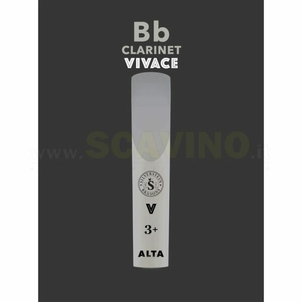 SILVERSTEIN AMBIPOLY Bb Clarinet Vivace cut 2