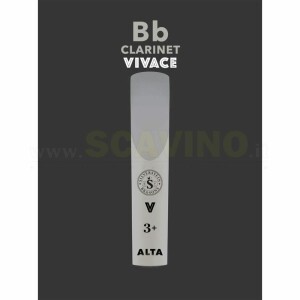 SILVERSTEIN AMBIPOLY Bb Clarinet Vivace cut 3