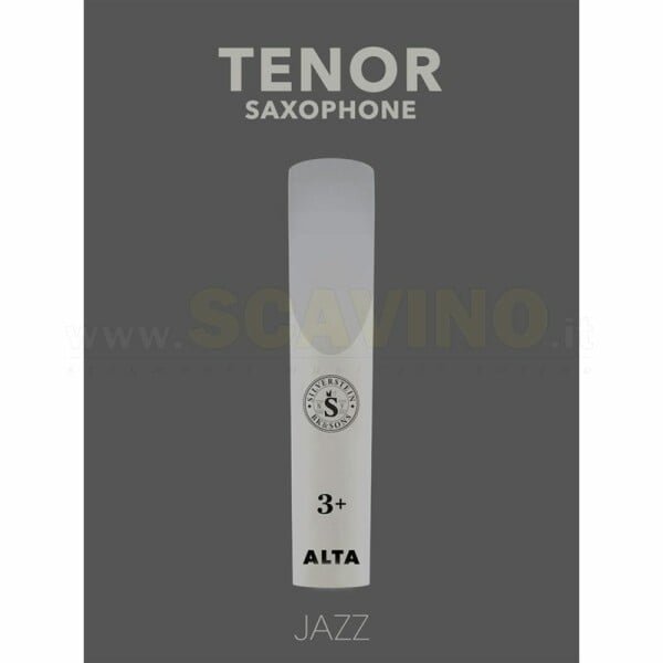 SILVERSTEIN AMBIPOLY Tenor Saxophone Classic 3