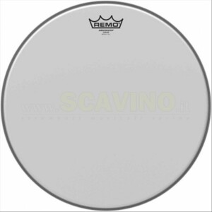 Remo BA-0115-00 Pelle Ambassador Sabbiata 15"