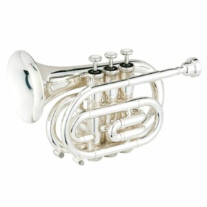 Carol Brass CPT3000-GLS-S Tromba Pocket in Sib con Campana in Goldbrass Argentata