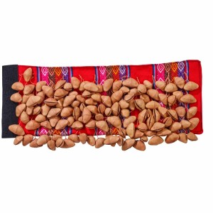 AFROTON ATBR782 TOBILLERA FOOT RATTLE