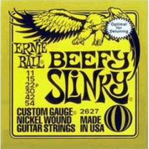 ERNIE BALL MUTA DICORDE PER CHITARRA 2627 BEEFY SL