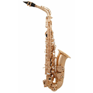 GRASSI ACAS300G SAX ALTO EX-DEMO