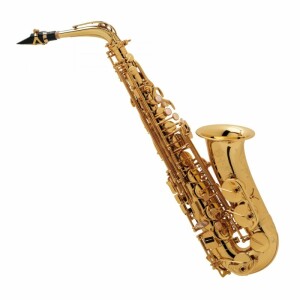 SELMER SAX ALTO J-SA80II