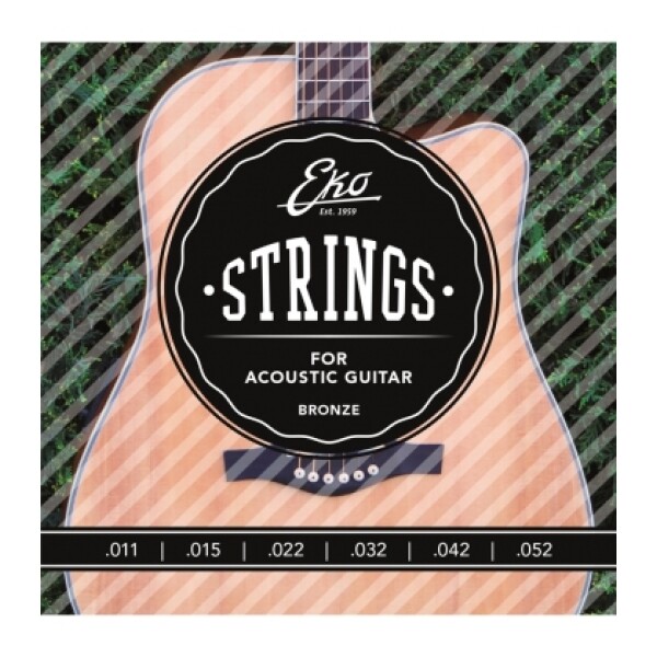 EKO ACOUSTIC SET H 12/53