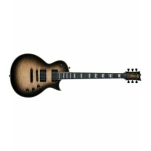 LTD LTD EC-1000T - Black Natural Burst