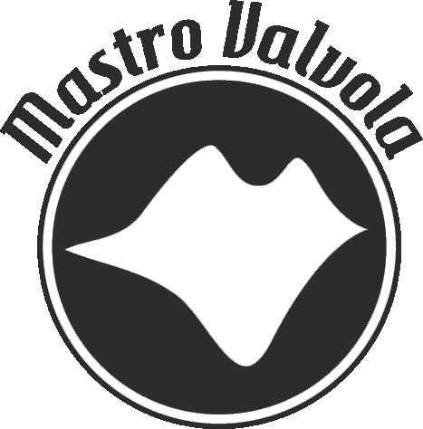 MASTRO VALVOLA