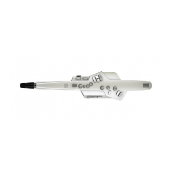 ROLAND AE-10 AEROPHONE
