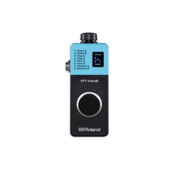 ROLAND RT-MICS