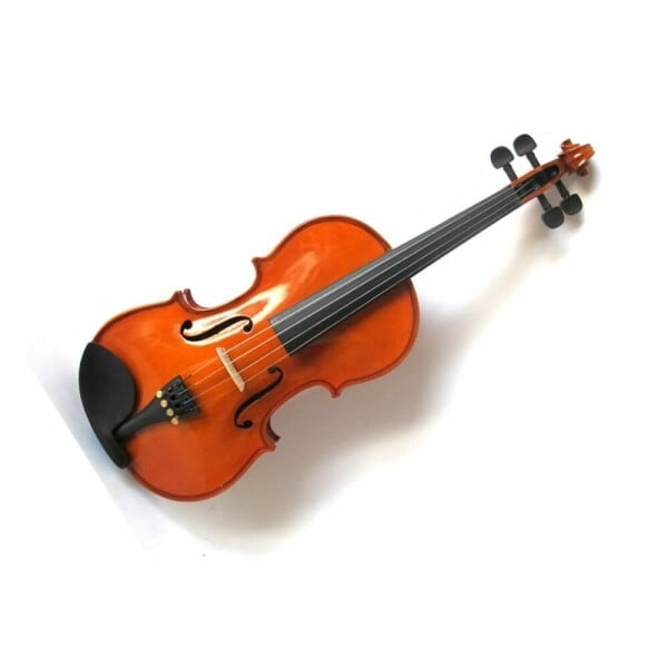 Bruck P4010S 4/4 VIOLINO CON CUSTODIA