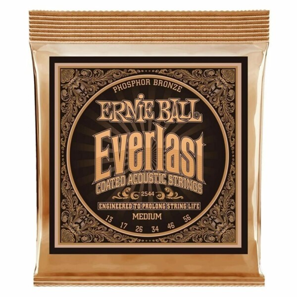 Ernie ball 2544 EVERLAST MEDIUM PHOSPHOR BRONZE 13/56