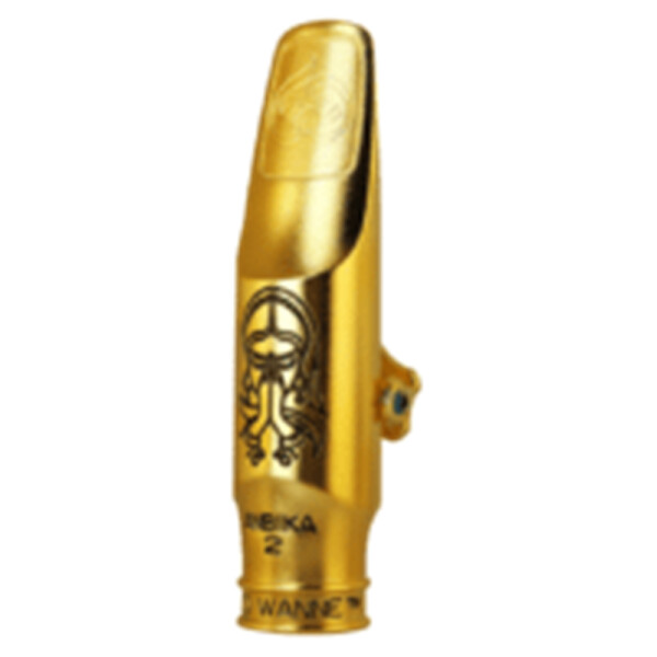 Theo wanne AMBIKA 2 GOLD 8 BOCC SAX TENORE METALLO