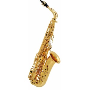 Buffet crampon BC8101-1-0 SERIE 100 SAX ALTO MIB