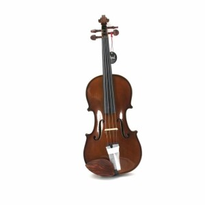 Domus musica VL4100 ALLIEVO I VIOLINO 4/4 CON CUSTODIA