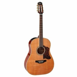 Takamine TS1 CRN DREADNOUGHT THERMAL TOP