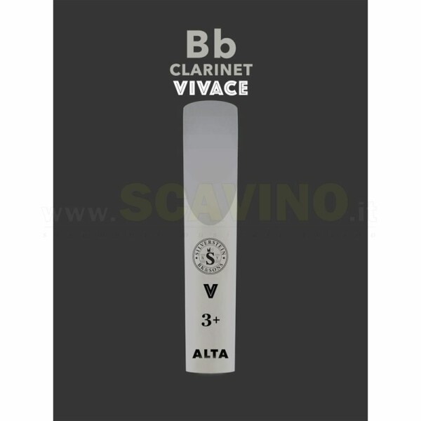 SILVERSTEIN AMBIPOLY Bb Clarinet Vivace cut 3+ AP325CLV