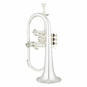 Eastman andreas EFG421S FLICORNO SOPRANO ARGENTATO