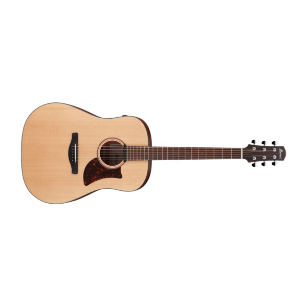 Ibanez AAD100EOPN CHITARRA ACUSTICA