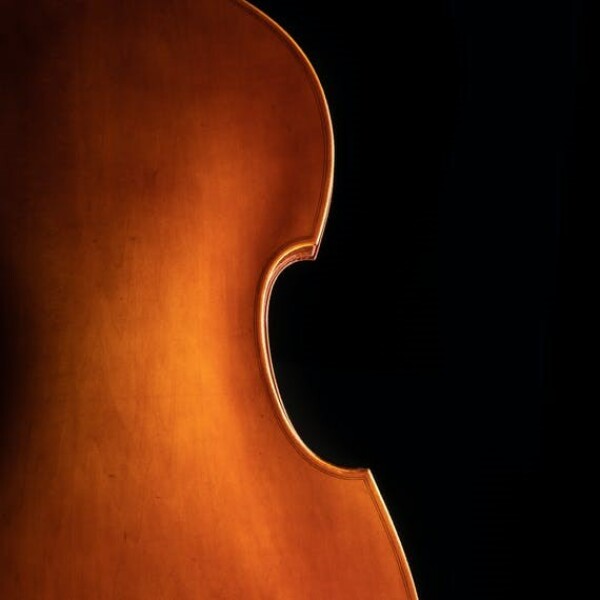 Eastman strings VB-50-SBC 3/4 SAMUEL EASTMAN CONTRABBASSO
