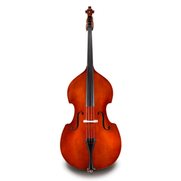 Eastman strings VB-50-SBC 3/4 SAMUEL EASTMAN CONTRABBASSO