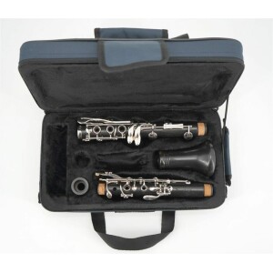 Backun PROTEGE GRENADILLA 17/6 CLARINETTO USATO