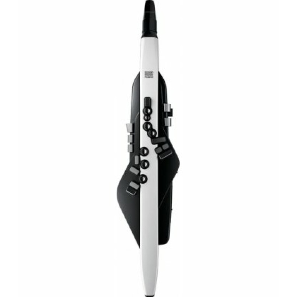 ROLAND AE-20 AEROPHONE