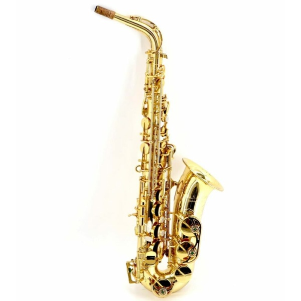 B&s gmbh MEDUSA SAX ALTO USATO