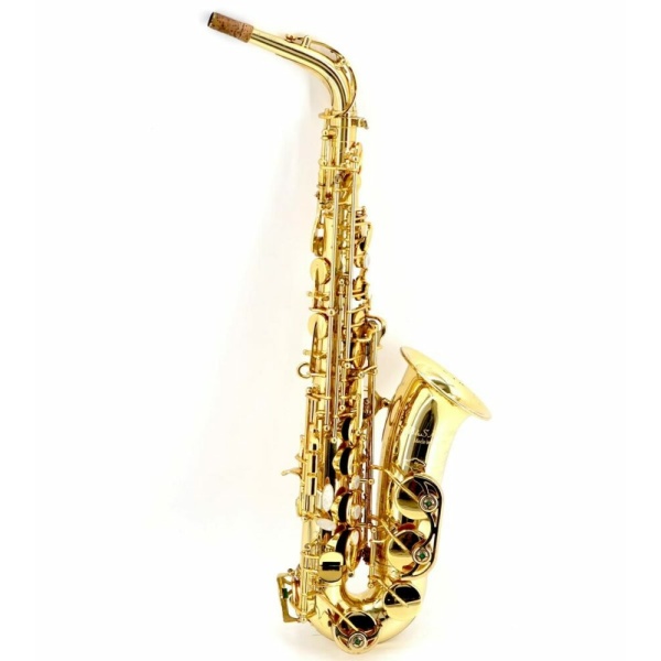 B&s gmbh MEDUSA SAX ALTO USATO