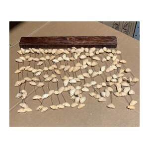 CHIMES OYSTER SONAGLIO WIND CON SEMI