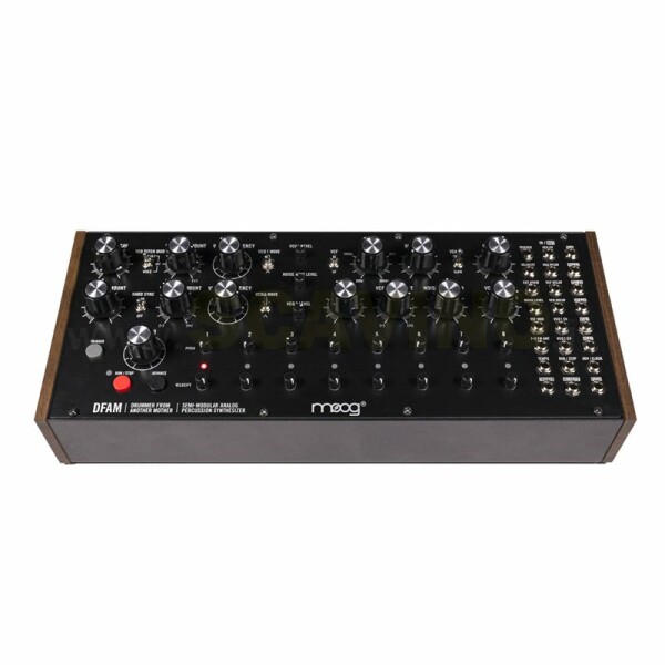 Moog Music DFAM Sintetizzatore Analogico di Percussioni