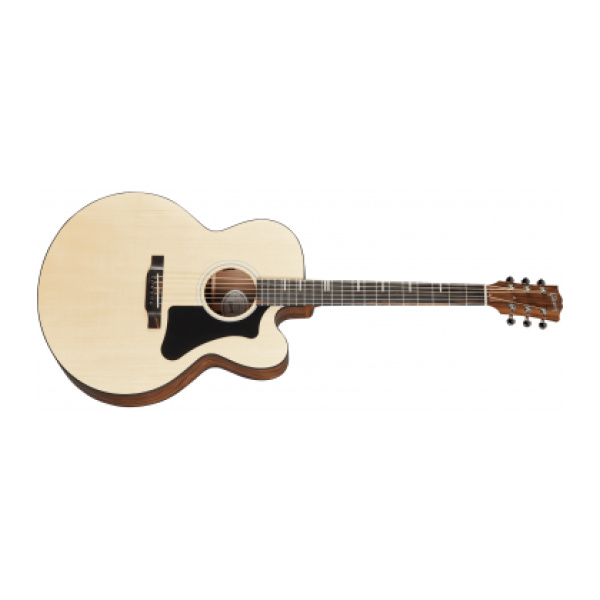 GIBSON G-200 EC