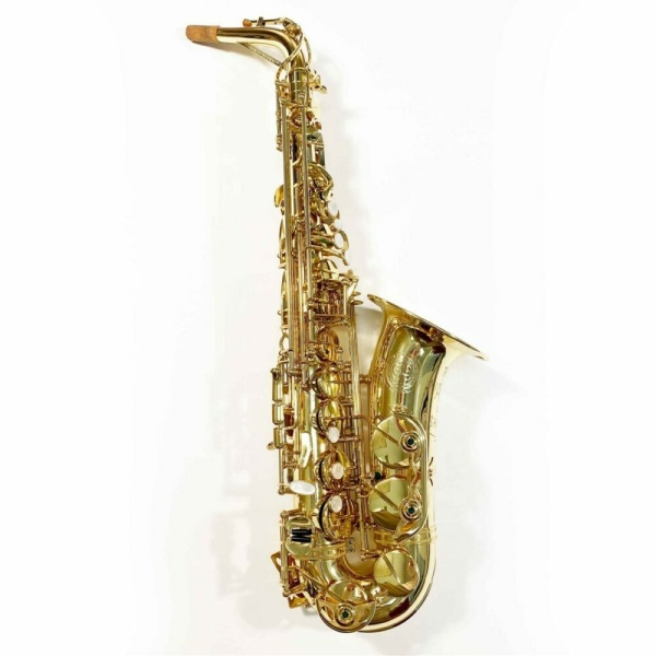 Theo wanne SHAKTI SAX ALTO LACCATO