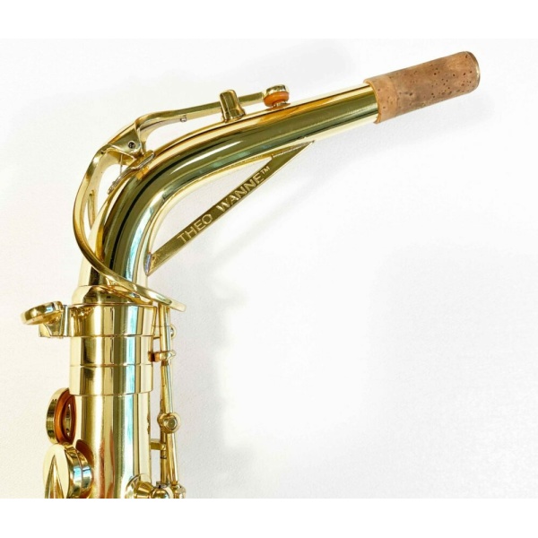 Theo wanne SHAKTI SAX ALTO LACCATO