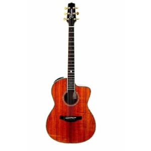 Takamine CLASSICAL THE60 TH 22/60 LTD EDITION