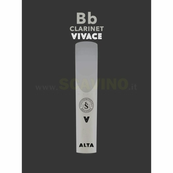 Silverstein Ambipoly Vivace Ancia Sintetica per Clarinetto in Sib 4