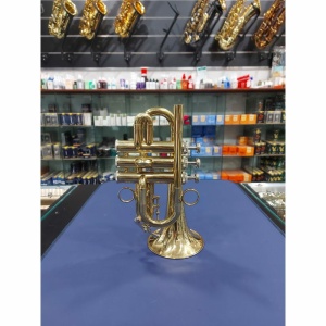 usato Anborg Serie Professional Trombino in Sib Tre Pistoni