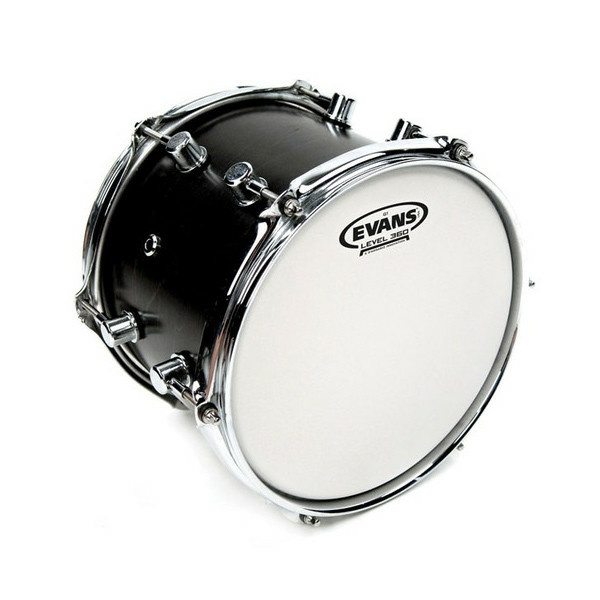 EVANS B08G1 GENERA G1 PELLE TOM SABBIATA 8"