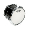 EVANS B12G1 GENERA G1 PELLE TOM SABBIATA 12"