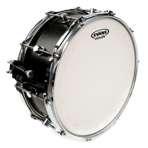 EVANS B14DRY PELLE PER RULLANTE SABBIATA GENERA DRY 14"