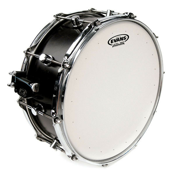 EVANS B14DRY PELLE PER RULLANTE SABBIATA GENERA DRY 14"