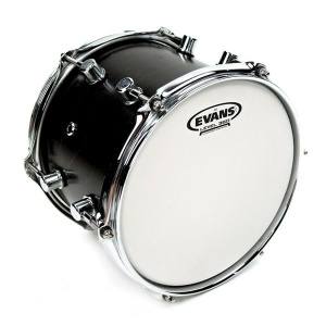 EVANS B15G1 GENERA G1 PELLE TOM SABBIATA 15"