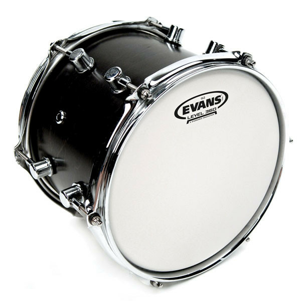 EVANS B16G2 G2 PELLE TOM SABBIATA 16"