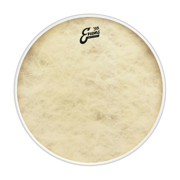 EVANS BD20GB4CT - EQ4 CLAFTONE PELLE CASSA 20"