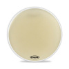 EVANS CB4014S STRATA 1400 GRANCASSA DA CONCERTI 40"